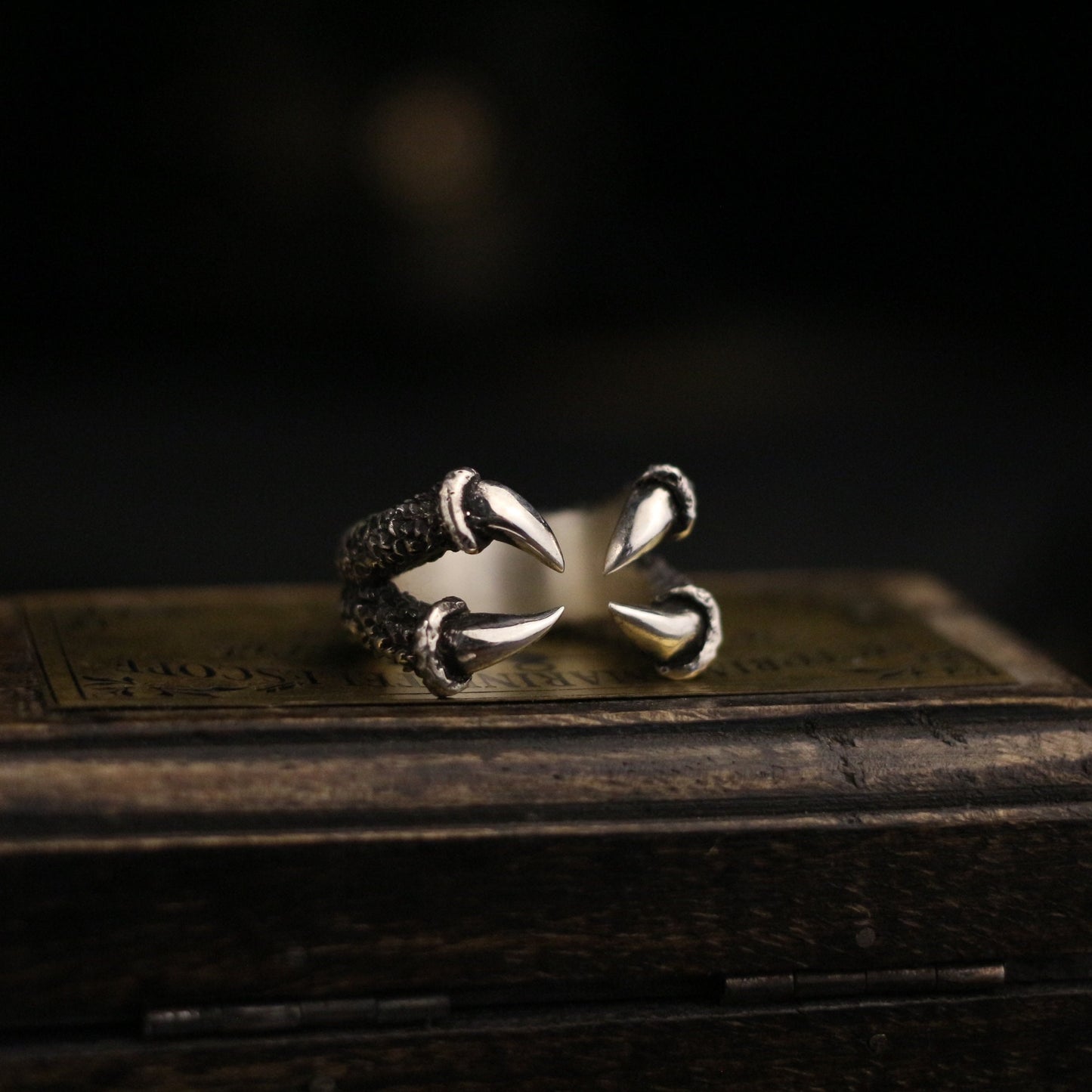 Eagle claw 925 silver ring, Dragon claw ring, Animal claw open ring, Brass sterling silver personalized gift - Craftsman Made - SATANHORN