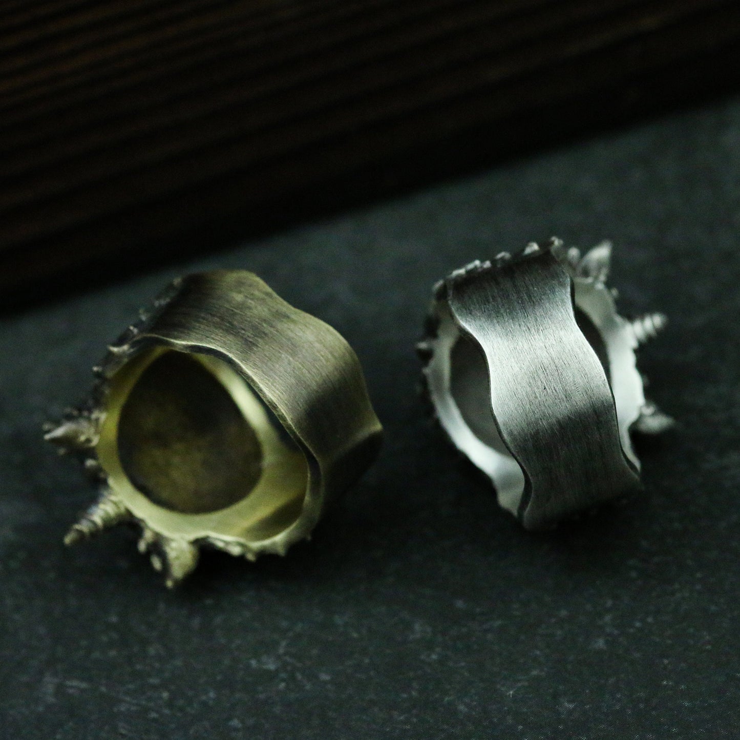 Chinese style Pixiu Patron saint 925 silver Ring,Buddhist ornaments,925 silver and brass,faith,Relic-Craftsman made - SATANHORN