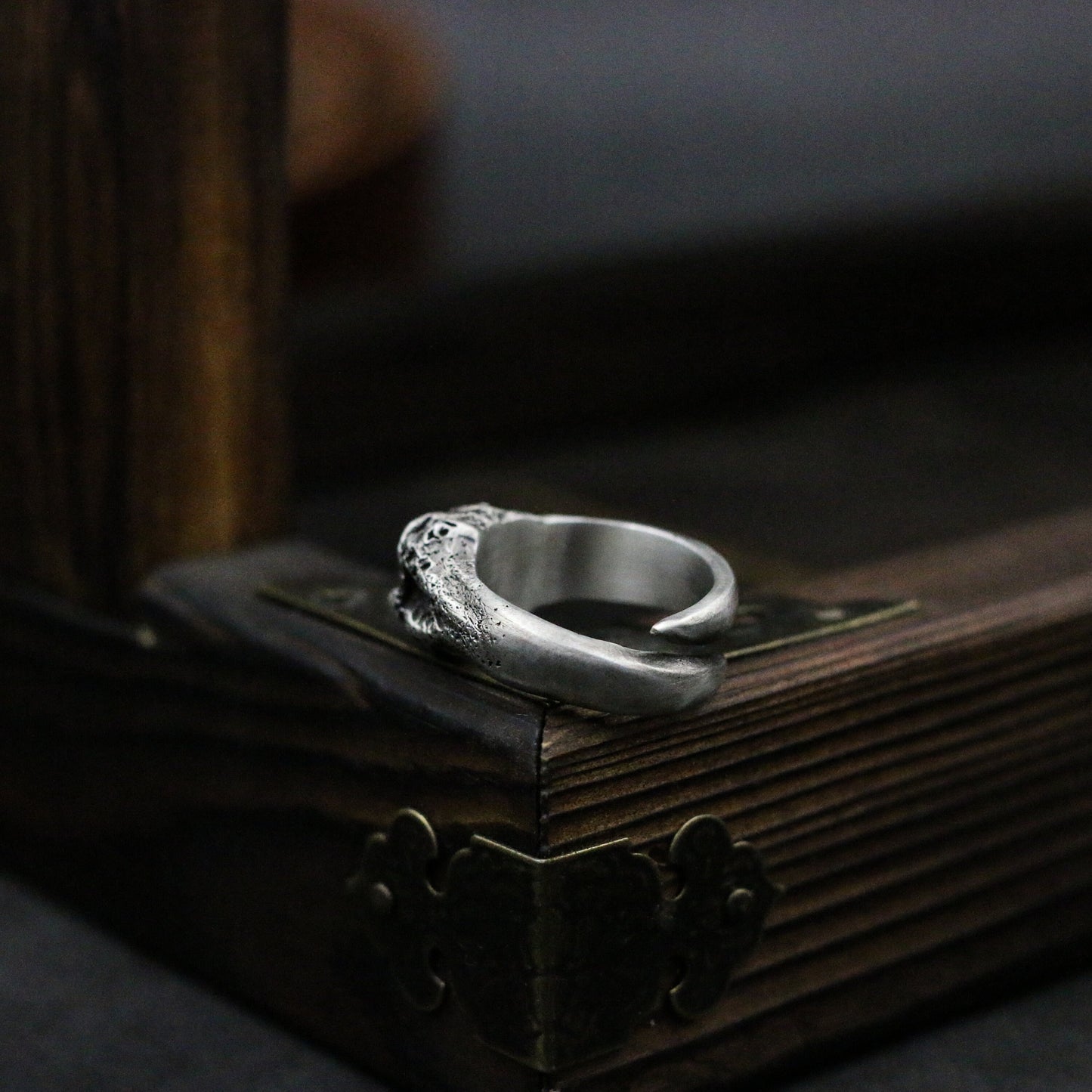 Bone joint 925 silver ring, Joint silver ring, 925 sterling silver brass personality ring - Craftsman Made - SATANHORN
