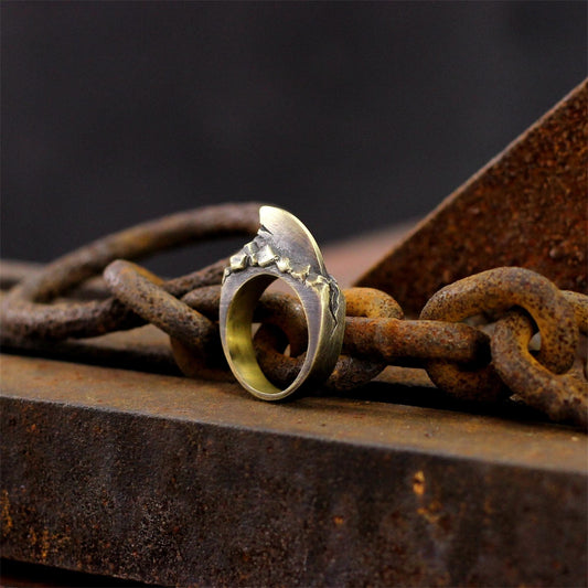 Shark fin 925 silver/brass Ring, ruthless killer Ring, sterling silver brass personality gift of the sea master - Craftsman made - SATANHORN