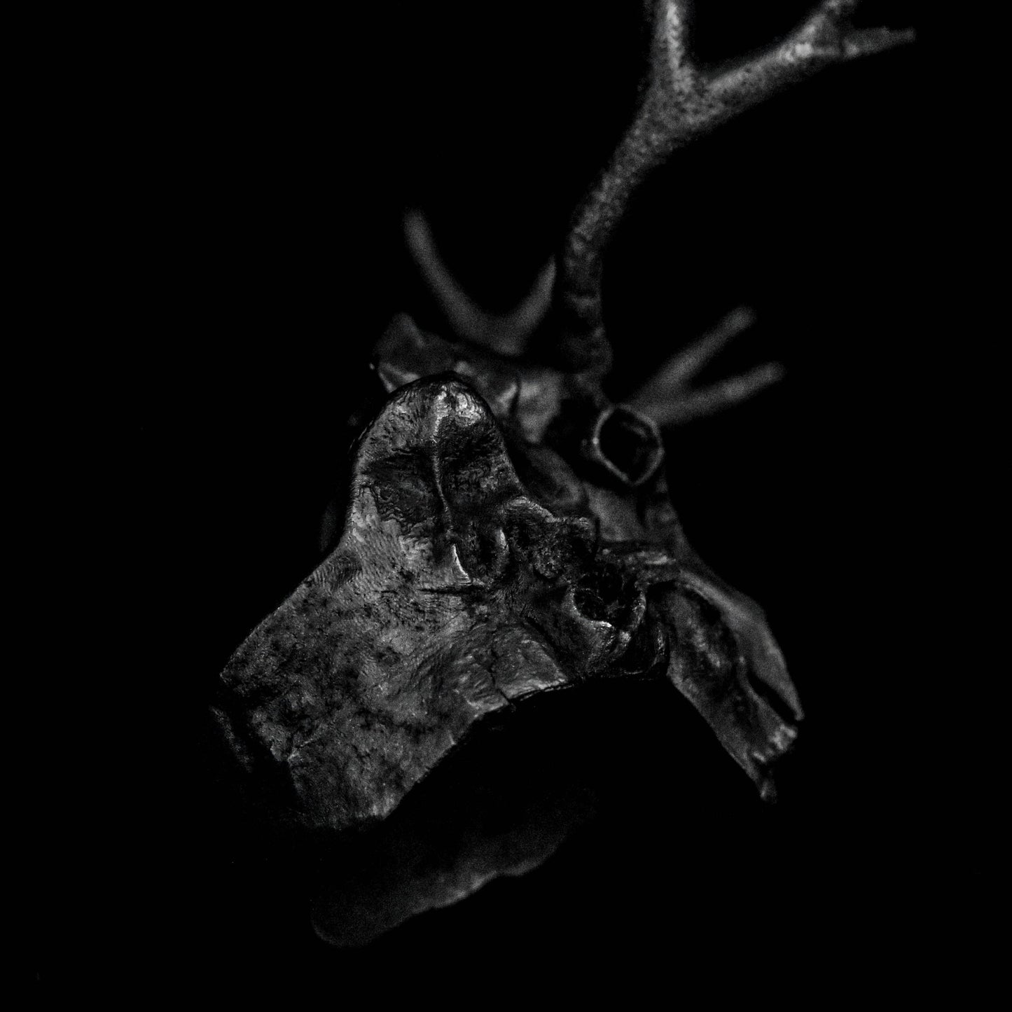 Skull Antler Desert Ring,Antlers Skull Silver Ring, Mule Deer Antler Ring, Deer Head Ring, Animal Ring.
