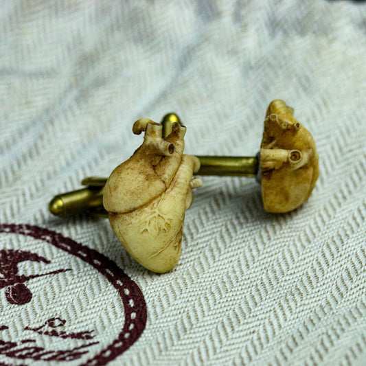 Heart Cufflinks | Anatomy Cufflinks | Anatomy | Heart Cufflinks | Men's Cufflinks | Surgeon Gifts