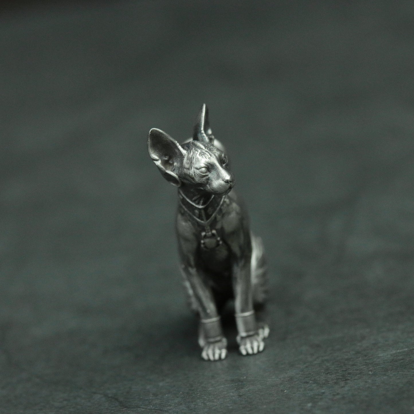 Hairless cat 925 silver pendant necklace, Stephanie cat pendant