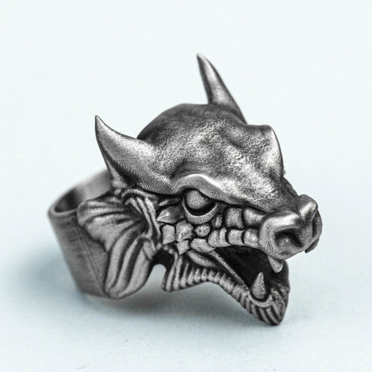 Town Tomb Beast 925 Silver Ring, Gargoyle Brass Ring, Weird Beast Jewelry, Alternative Pendant, Custom Jewelry