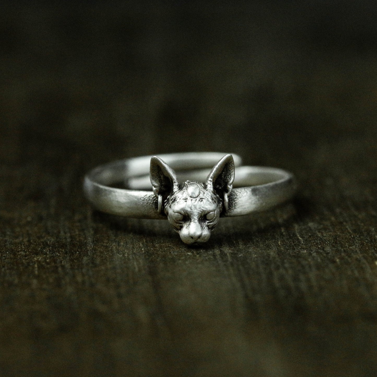 925 Sterling Silver Sphinx Cat Ring, Silver Cat Ring, Sphynx Cat Jewelry, Cat Gift, Valentine's Day Gift