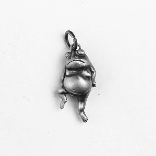 925 Silver Frog Necklace, Lucky Frog Pendant, Sterling Silver Toad Necklace, Amphibian Frog Lover Gift froschkönig frosch jewelry