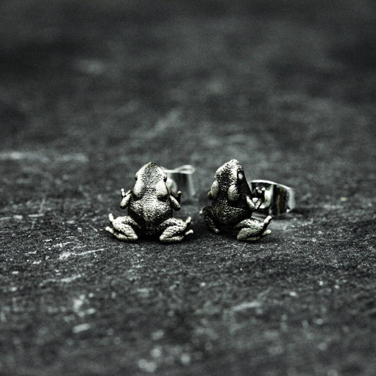 Toad earrings,frog earrings,sterling silver earrings,beneficial insect jewelry,frog jewelry,gifts for him - handmade