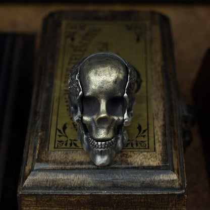Skull ring brass inlaid 925 Silver Ring, worn skull warrior mask ring - Craftsman made - SATANHORN