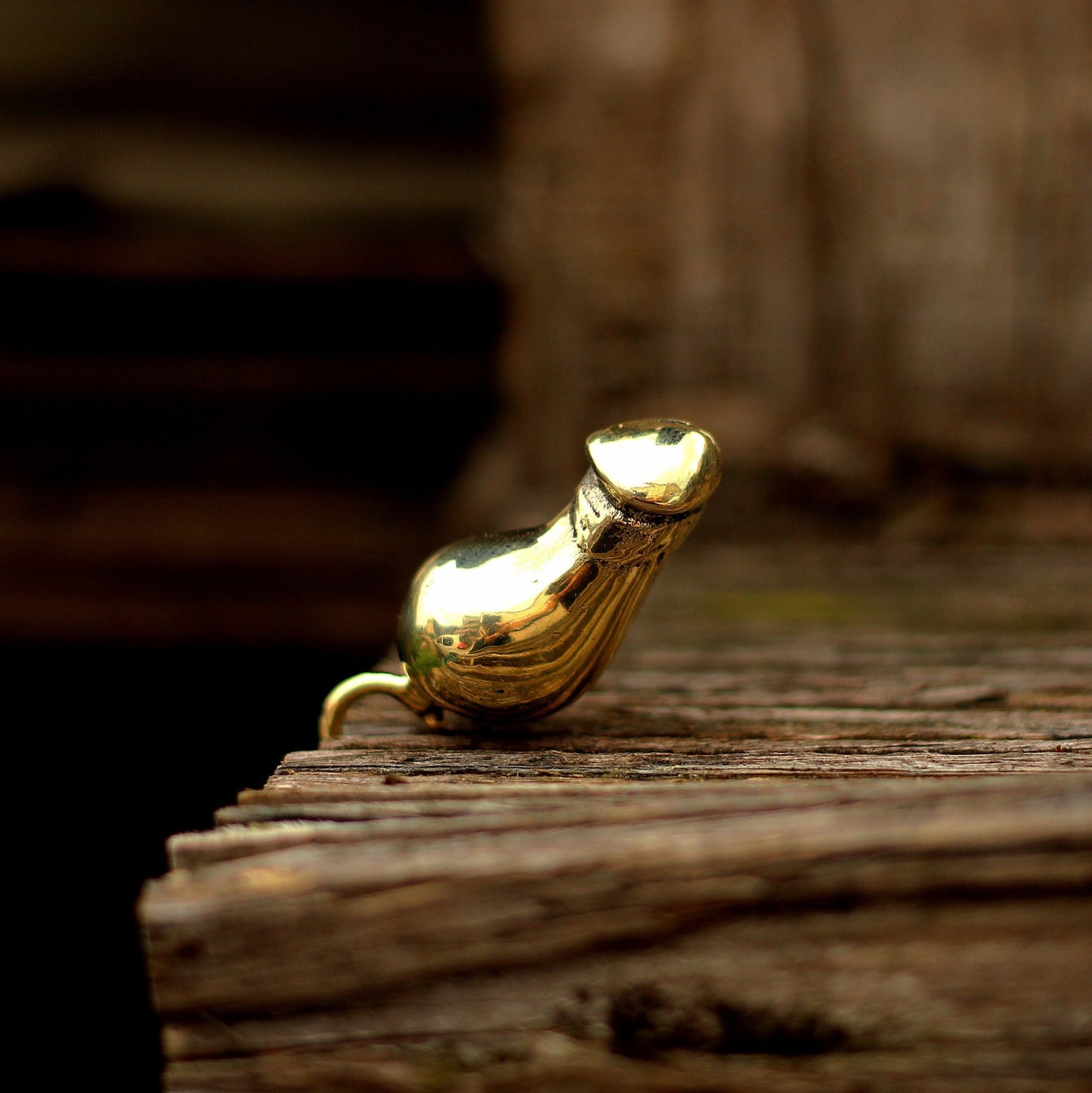 Penis Brass/925Silver Pendant necklace,a unique pendant necklace for male genitalia,made of silver and brass-Craftsmen made