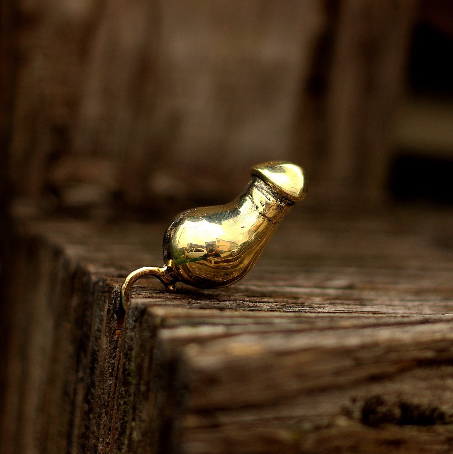 Penis Brass/925Silver Pendant necklace,a unique pendant necklace for male genitalia,made of silver and brass-Craftsmen made