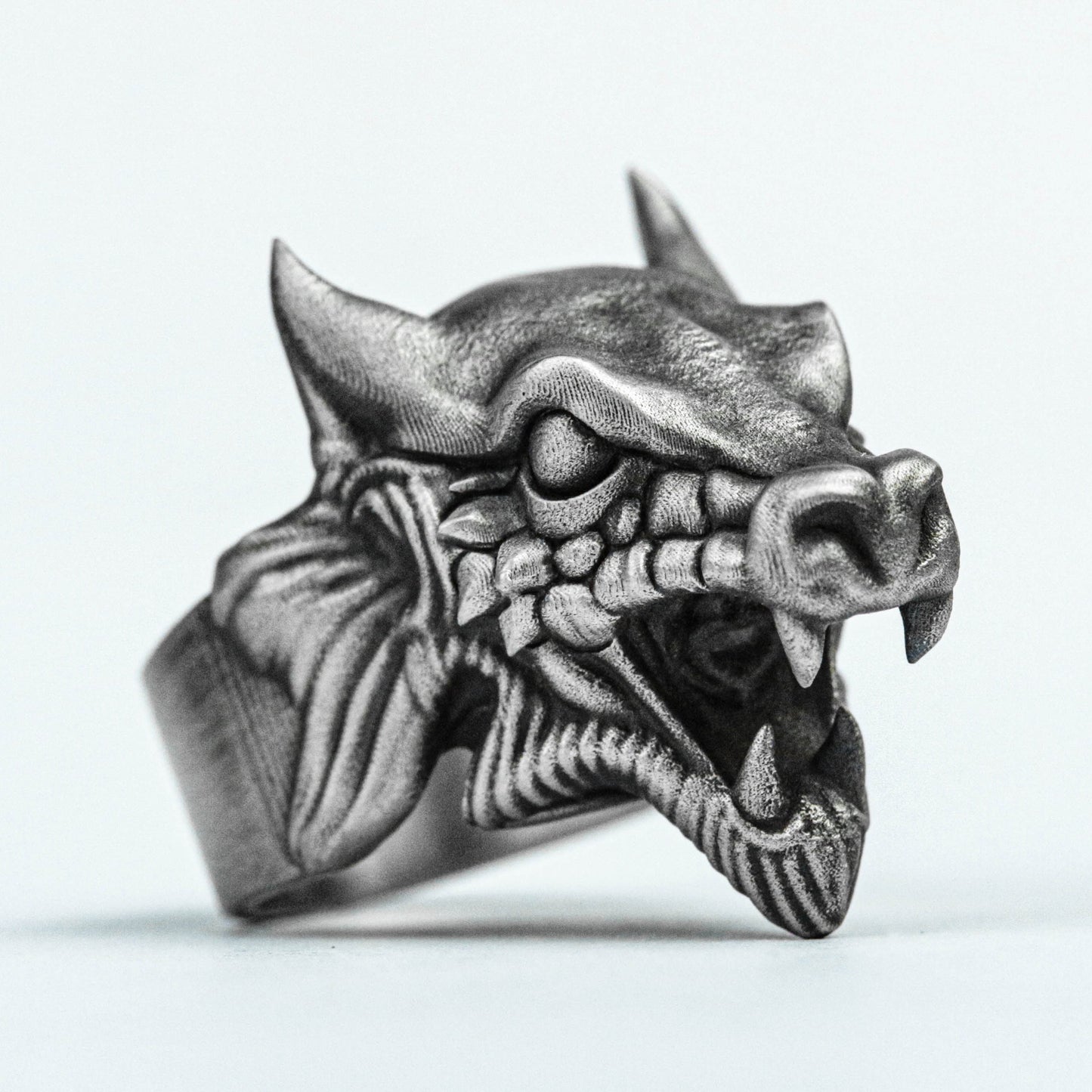 Town Tomb Beast 925 Silver Ring, Gargoyle Brass Ring, Weird Beast Jewelry, Alternative Pendant, Custom Jewelry