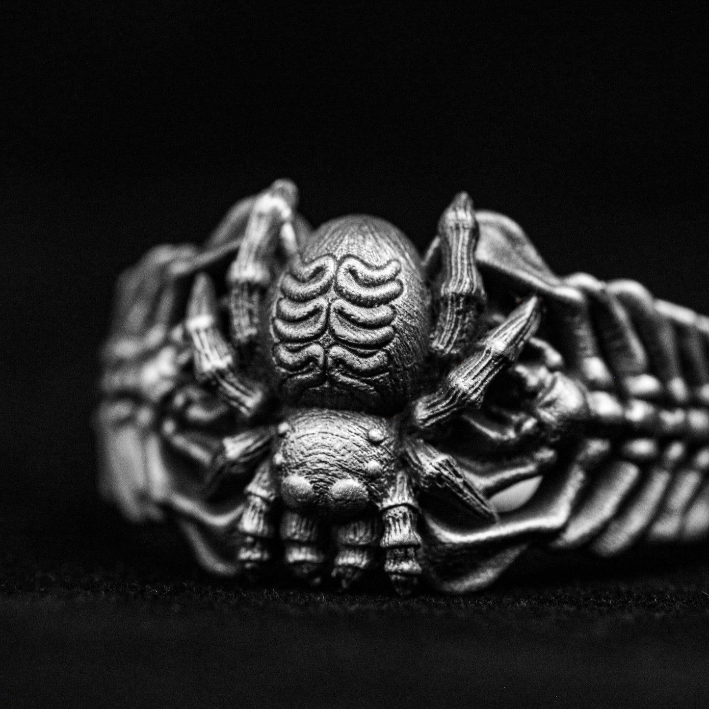 Spider Rings, Animal Pendants, Centipede Rings, Spine Rings, Reptile Rings, Silver Rings, Brass Rings, Simple Style Rings, Seiko Jewelry