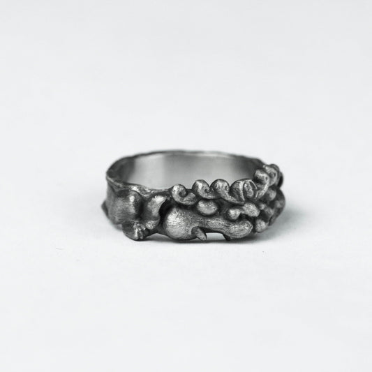 Toad ring frog prince ring couple ring 925 silver brass handmade custom jewelry froschkönig frosch jewelry