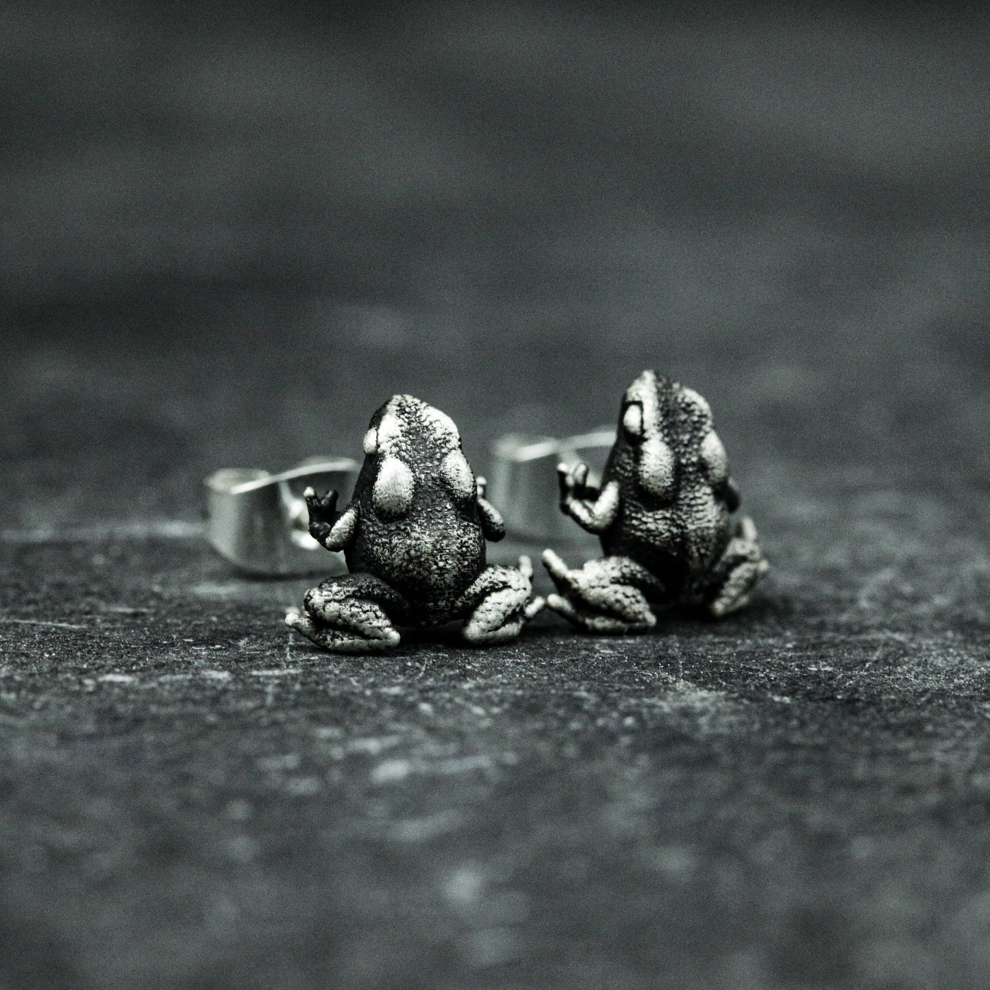 Toad earrings,frog earrings,sterling silver earrings,beneficial insect jewelry,frog jewelry,gifts for him - handmade