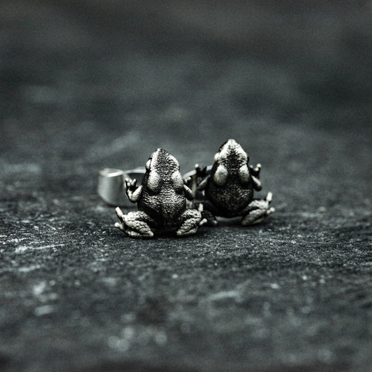 Toad earrings,frog earrings,sterling silver earrings,beneficial insect jewelry,frog jewelry,gifts for him - handmade